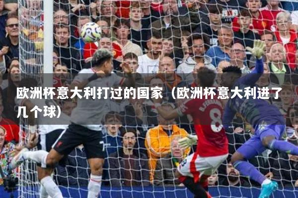 欧洲杯意大利打过的国家（欧洲杯意大利进了几个球）