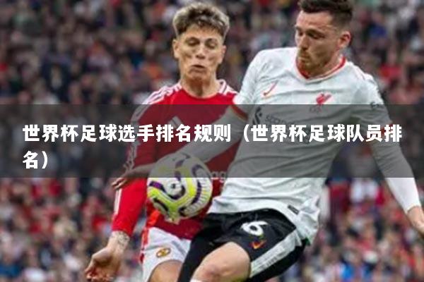 世界杯足球选手排名规则(世界杯足球队员排名)
