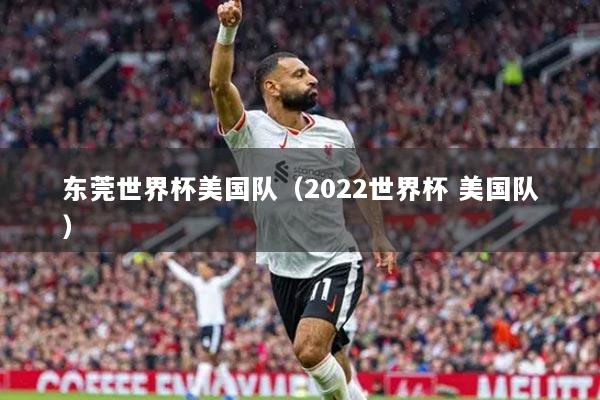 东莞世界杯美国队（2022世界杯 美国队）