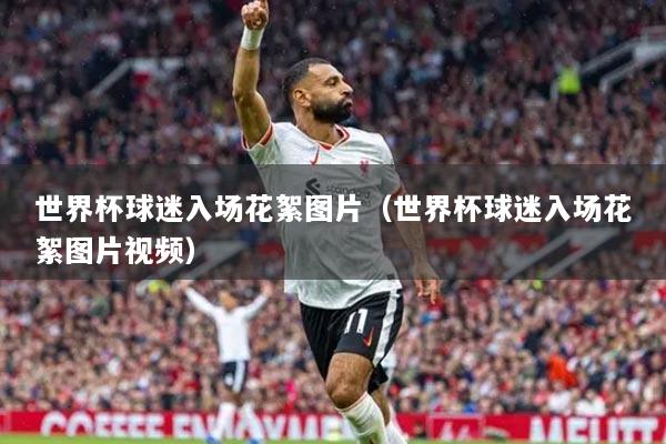 世界杯球迷入场花絮图片(世界杯球迷入场花絮图片视频)