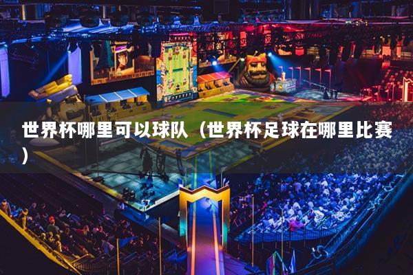 世界杯哪里可以球队（世界杯足球在哪里比赛）