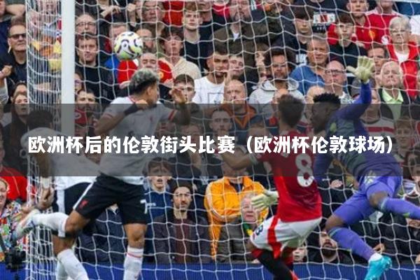 欧洲杯后的伦敦街头比赛（欧洲杯伦敦球场）