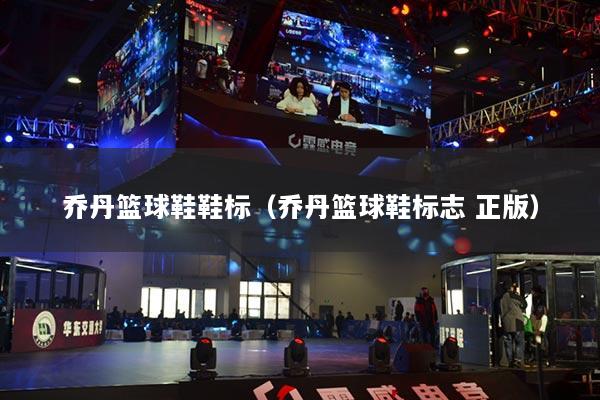 乔丹篮球鞋鞋标(乔丹篮球鞋标志 正版)