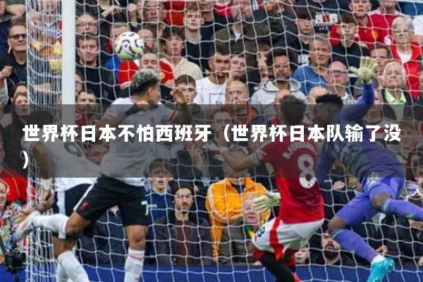 世界杯日本不怕西班牙(世界杯日本队输了没)