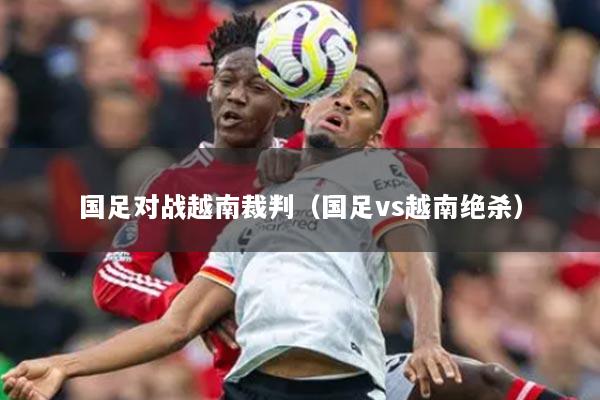 国足对战越南裁判（国足vs越南绝杀）