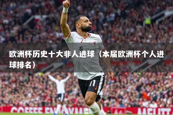 欧洲杯历史十大非人进球（本届欧洲杯个人进球排名）